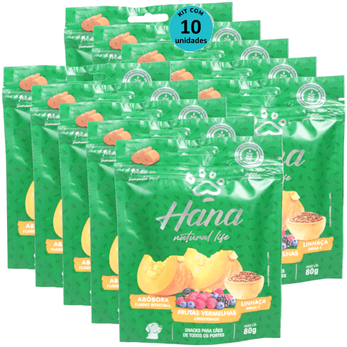 Hana Natural Life Abóbora Frutas Vermelhas Linhaça 80g Para Cães Adultos Kit C/ 10 Un
